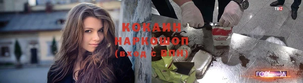 ешки Арсеньев
