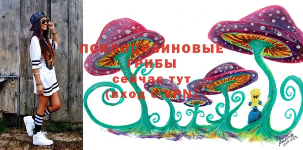 гашик Армянск