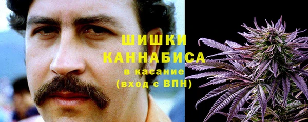 ешки Арсеньев
