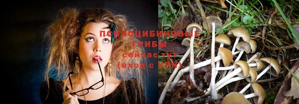 бутират Аркадак