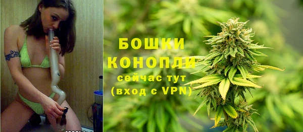 ешки Арсеньев